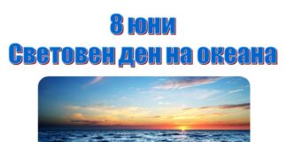Всяка година на 8 юни се отбелязва Световният ден на океана.